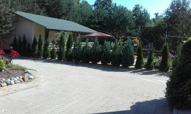 Mustvee Creek Cottage Bagian luar foto